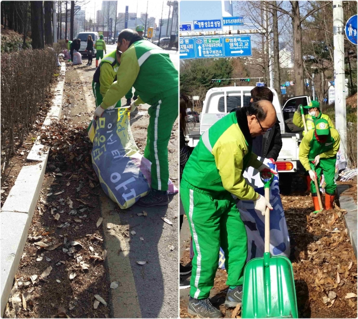 영통3동 환경관리원과 직원이 폐현수막재활용마대에 낙엽을 담고있다.