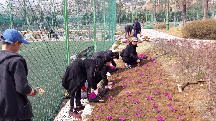 영통1동, 싱그러운 우리동네 꽃잔디 심기