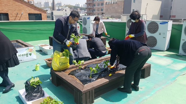 지난 18일 송죽동 주민자치회원들이 주민센터 옥상 텃밭에 채소모종을 식재하고 있다. 