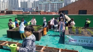 3일, 송죽동 주민센터에 방문한 송죽초등학교 병설유치원 어린이들이 옥상 텃밭을 가꾸고 있다. 