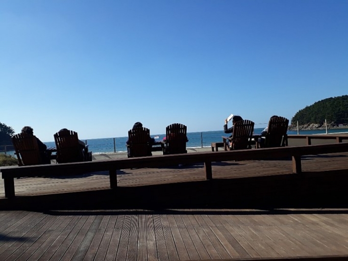 천리포 바닷가를 향하여 데크 의자에서 바다를 바라다 보는 모니터단들