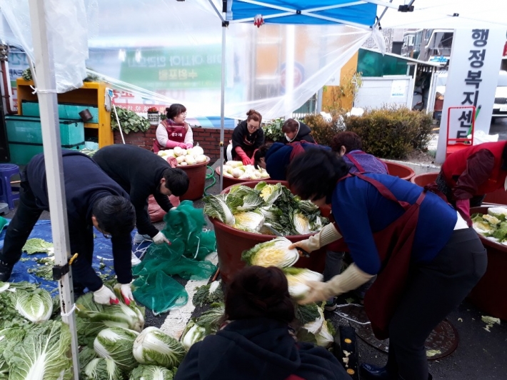 새마을부녀회 배추 절임