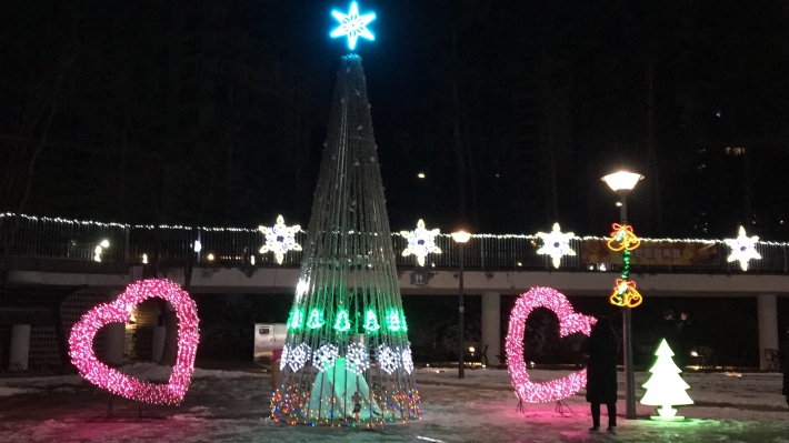 광교호수공원 어반레비 휴게소 앞의 크리스마스트리