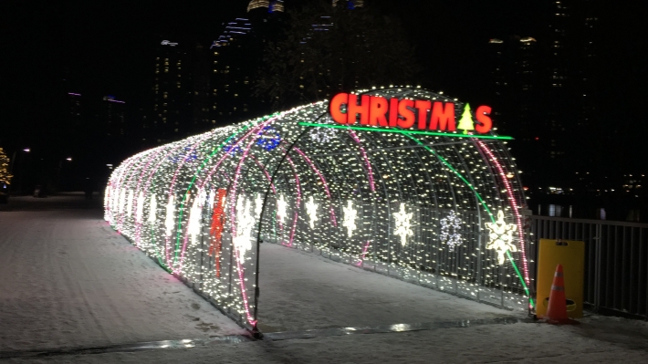 광교호수공원의 크리스마스 불빛터널