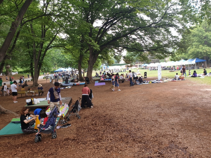 차없는 거리 행사 개최 현장