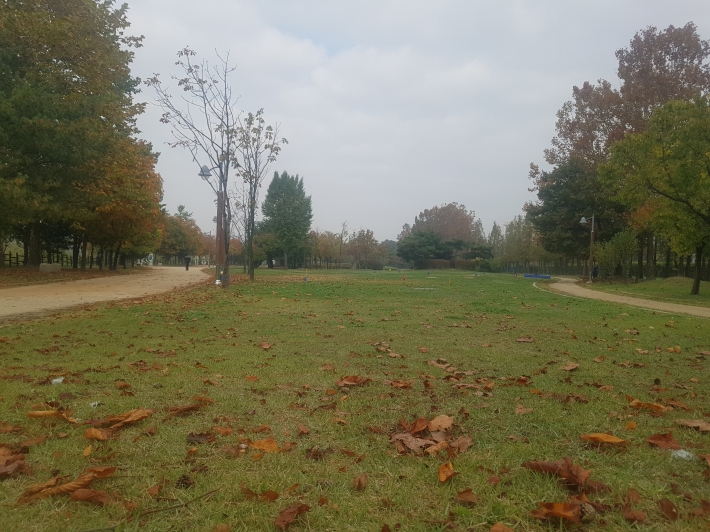 시민들이 즐겨찾는 서호공원에 가을이 깊어가고 있다.