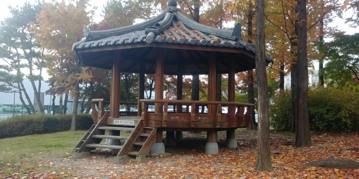 가을 산책을 즐기려는 시민들이 자주 찾는 수원월드컵경기장 중앙공원.