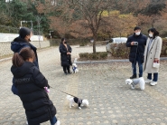 보호자와 강아지와의  신나는 야외산책 훈련