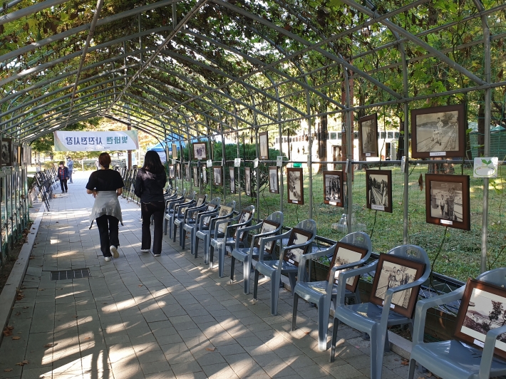 야외 공원에서 열린 사진전, 시민들에게 특별한 볼거리를 제공했다.