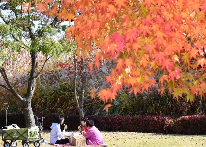 방화수류정 인근 잔디밭에서 한 가족이 가을 소풍을 즐기고 있다.