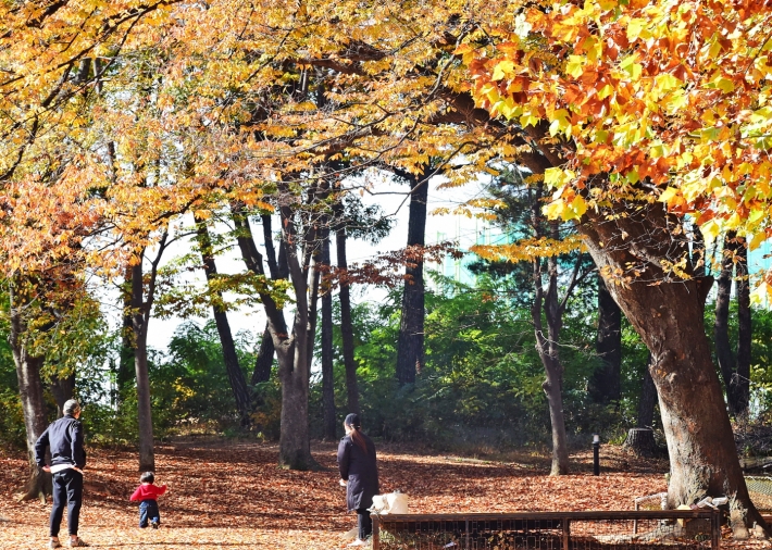 경기상상캠퍼스 잔디밭에서 어린이와 부모가 자유롭게 산책을 즐기고 있는 모습.