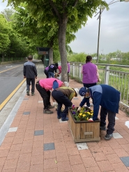꽃을 식재하는 서둔동 주민자치회 위원들 모습