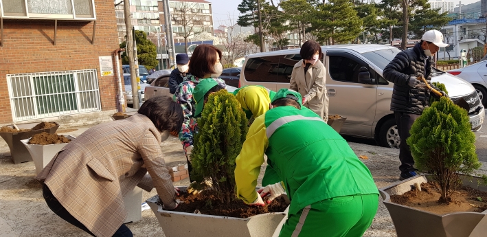 우만1동 초록마을정원만들기-측백나무식재