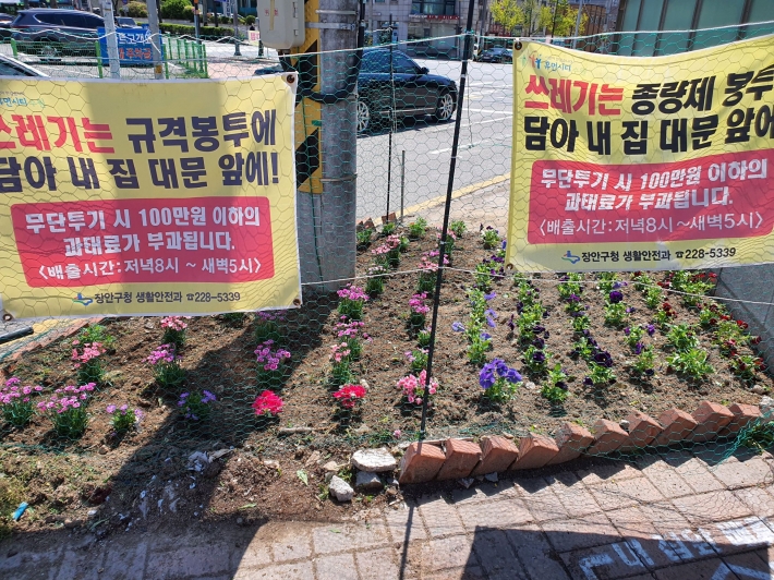 쓰레기 무단투기 상습지역에 꽃을 식재한 모습