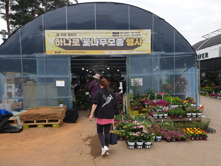 수원지역 화훼농가를 돕는 '제18회 봄맞이 하나로 꽃·나무·모종 행사' 농협 수원유통센터에서 5월 31일까지 열리고 있다. 