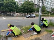 우만2동 직원들이 도시미관 개선을 위해 잡초제거작업을 하고있다.