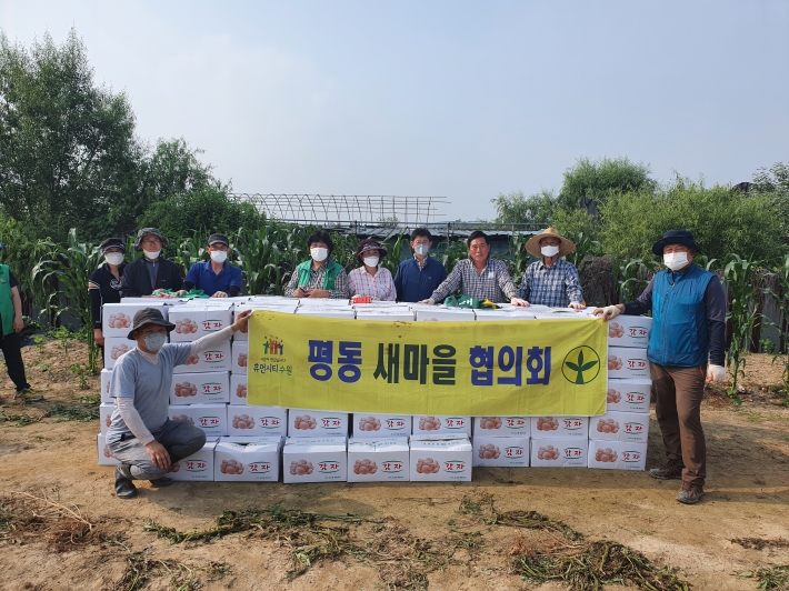 수확한 감자 박스 앞에서 관계자들 기념촬영 