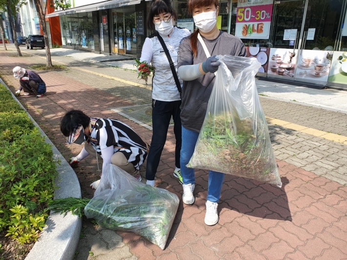 권선1동 대로변 잡초제거 현장