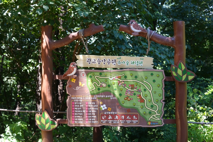 나란히 자리하고 있는 '광교중앙공원 유아숲 체험원'