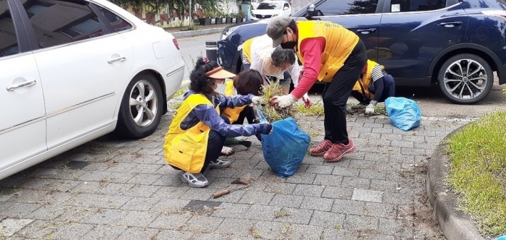 참가자들이 도보에난 풀을 제거하고 있다.