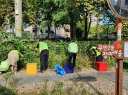 주민자치위원들이 장미마을을 깨끗이 정돈하고 있다.