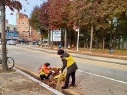 직원 및 참여자들이 대로변에 쌓인 낙엽을 치우고있다.