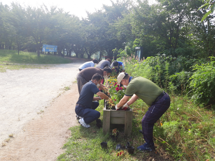 평동 가을맞이 마을정원 꽃심기 현장