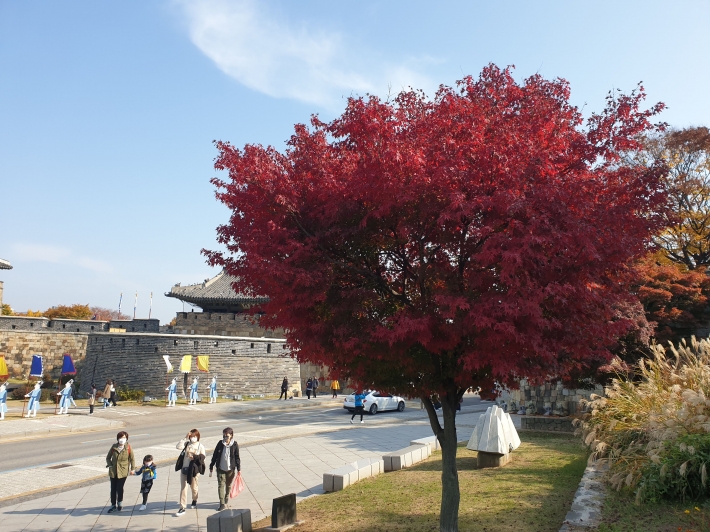 수원화성을 찾아 주말을 즐기고 있는 시민들