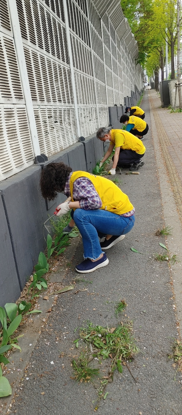 우만1동 잡초제거 활동