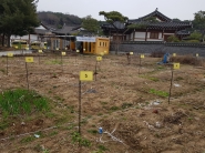 여기산 커뮤니티 가든 텃밭