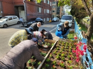 세류3동 무단투기 예방화단 조성