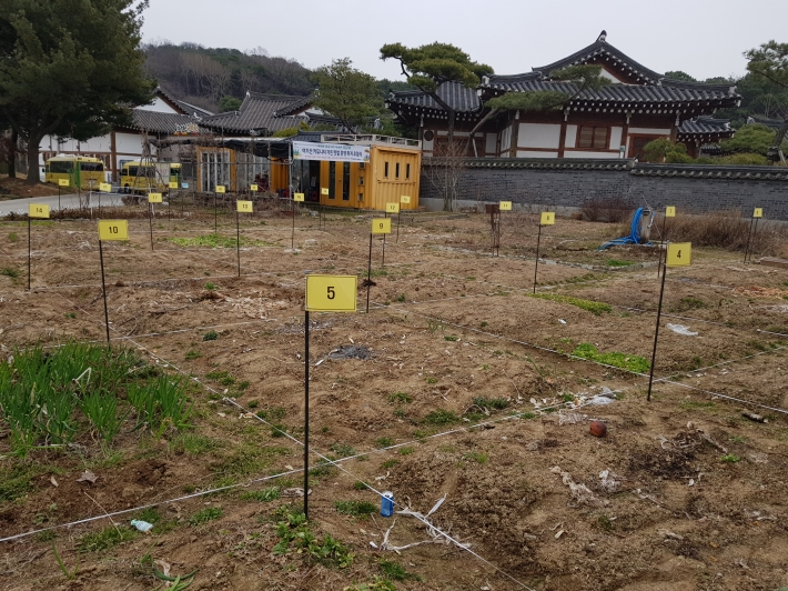 여기산 커뮤니티 가든 텃밭