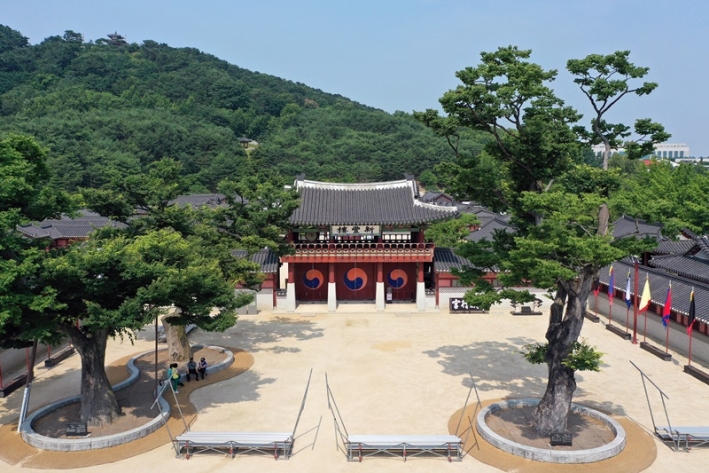 화성행궁 신풍루 앞 느티나무 [사진]수원시 포토뱅크