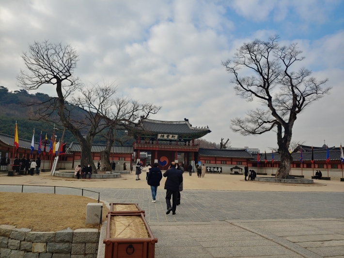 화성행궁 신풍루 앞 느티나무 