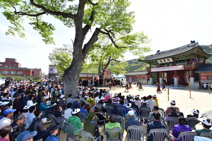 화성행궁 신풍루 앞 느티나무 [사진]수원시 포토뱅크