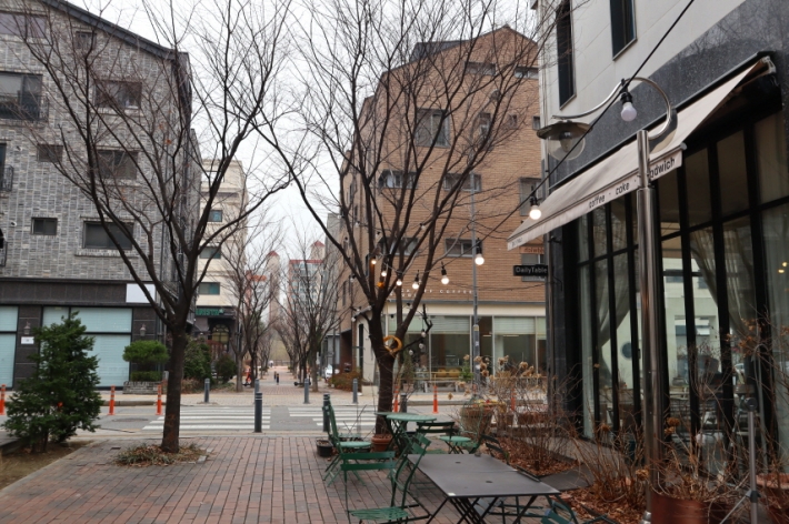 올해 왕벚꽃 구경은 신동수변공원과 카페거리에서!