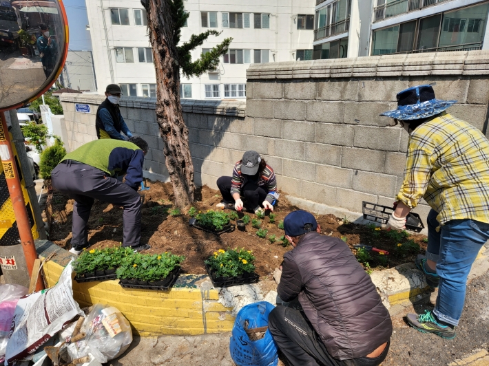 세류3동 무단투기 예방화단 조성