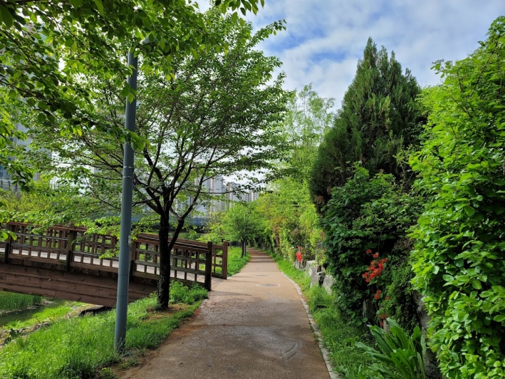 광교푸른숲도서관으로 걸어가는 길