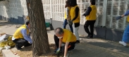 팔달구 우만1동에서 5월 4일 월드컵로 가로수 주변 잡초를 제거하고 초화류를 식재하였다.