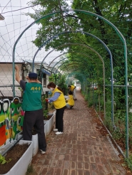 단체원 및 공무원이 초록터널에 덩굴식물을 심고 있다.