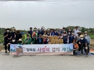 입북동 새마을협의회는 지난 22일, 입북동 공동텃밭에서 사랑의 감자 수확 행사를 진행했다.