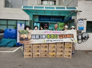 하지감자 40박스(10kg) 수확 행사 실시