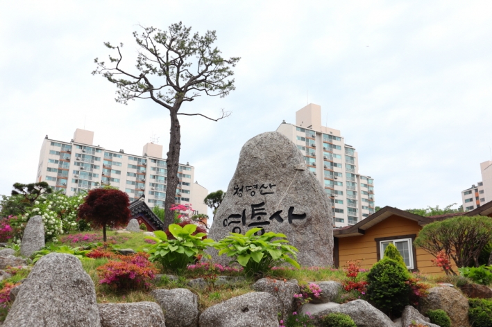 1981년에 창건한 사찰 '청명산 영통사'