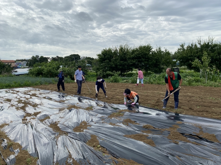구운동 새마을3단체, 사랑나눔 감자 수확 행사