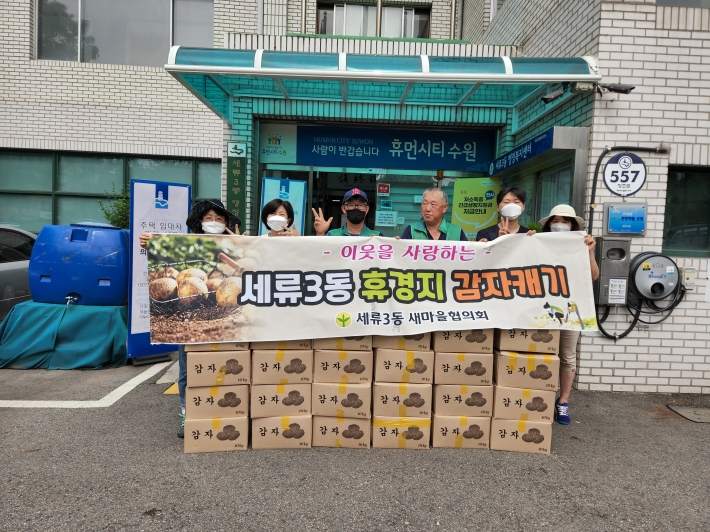 하지감자 40박스(10kg) 수확 사진