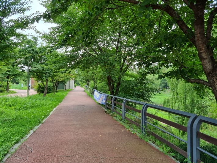 신동카페거리에서 시원한 음료 한 잔씩