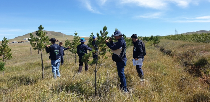 수원시민봉사단이 '몽골 수원시민의 숲'에 있는 나무의 생육상태를 살펴보고 있다.