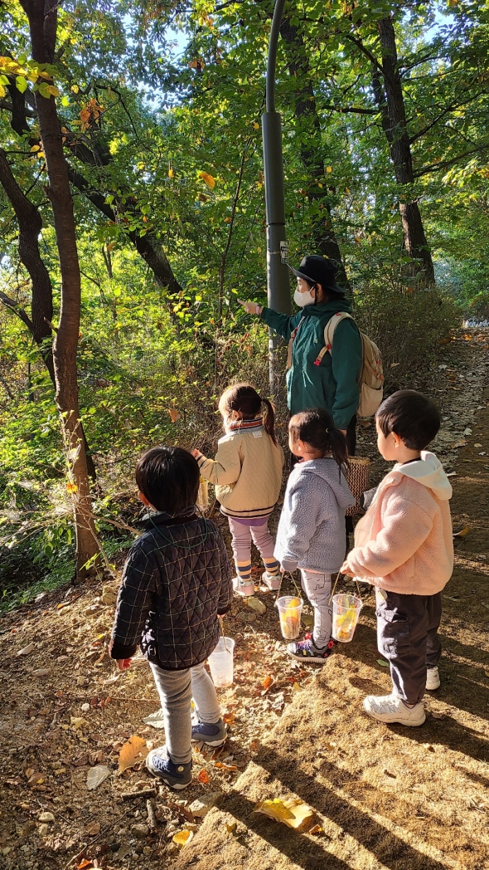 아이들은 숲에서 성장한다