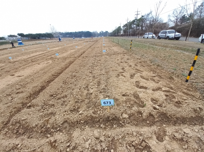 시민농장의 텃밭16㎡(5평)의 전경