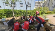 우만2동 주민자치회의 장미 등 초화 식재 활동